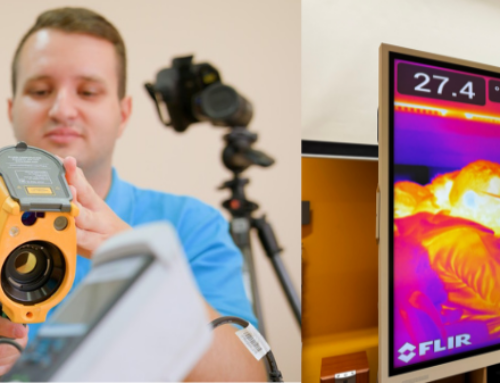 Termografia dezvăluie detalii invizibile